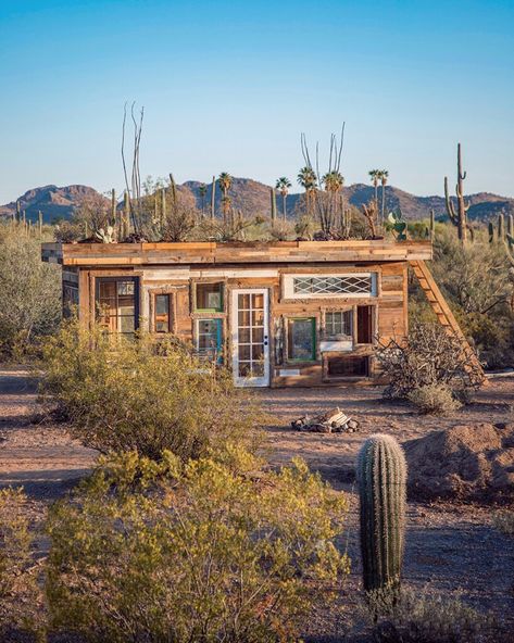 Desert Cabin, Desert Town, Earthship Home, Desert Environment, Living Roofs, Off Grid Cabin, Cactus Desert, Concrete Bricks, Southwest Desert