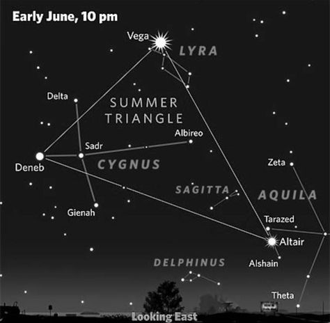 All over the U.S. tonight (June 12, 2016), we have the Summer Triangle, with the lucky star Vega, signifier of some type of artistic talent, the over-achieving star Altair, in the asterism of the eagle, which soars above everything and everyone, and the fighting star Deneb, in the asterism of the Swan, a graceful bird that viciously defends its territory (a star that figured heavily in the life of the Prophet Mohammed and also in the life of American sniper Chris Kyle). Altair Star, Comets And Asteroids, Science Facts Mind Blown, Stars In Your Eyes, Summer Triangle, Boat Navigation, Prophet Mohammed, Nature Studies, Chris Kyle