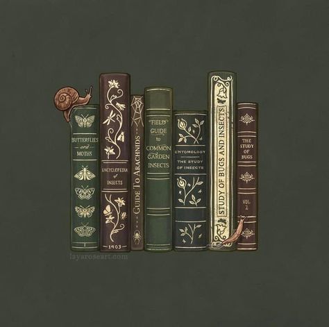 Tablet Aesthetic, Library Icon, Bookshelf Aesthetic, Library Aesthetic, Book Spine, Whatsapp Wallpaper, Watch Wallpaper, Amaranth, Fantasy Inspiration