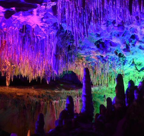 Florida Caverns, Florida Caverns State Park, Cave System, Tropical Landscape, Neon Aesthetic, Tropical Landscaping, Sunshine State, Florida Travel, Weekend Trips