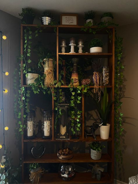 Green Witch Apartment Aesthetic, Spooky Earthy Aesthetic, Witch Aesthetic Shelves, Swamp Aesthetic Decor, Goblincore House Decor, Gothic Botanical Aesthetic, Fairycore Apartment Aesthetic, Nature Goth Aesthetic Room, Moss Aesthetic Room