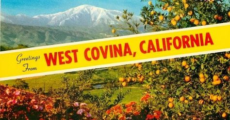 I was born in West Covina (Lark Ellen Hospital, which is no  longer there)  and raised in La Puente during the 1950's, 60's and 70's - my... Rebecca Bunch, Lake Arrowhead California, Pomona California, Ca History, San Gabriel Valley, Crazy Ex Girlfriends, Places In America, Crazy Ex, West Covina