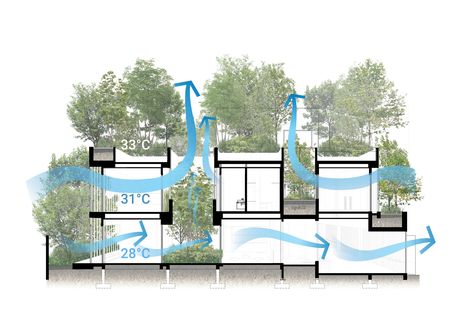 Shma Company designs Bangkok home for family and forest of 120 trees Green Landscape Architecture, New Urbanism, Architectural Section, Layout Architecture, Famous Architects, Green Architecture, Natural Ventilation, Diagram Architecture, Environmental Design