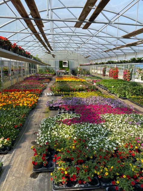 Horticulture Aesthetic, Greenhouse Aesthetic, Natural Gardening, Business Vision Board, Vision 2025, Aesthetic Places, Money Images, Gardening Flowers, Dream Land