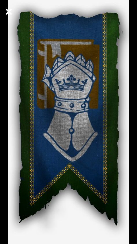 Kingdom Banner, Medieval Banner, Human Base, Heraldry Design, Fantasy Wizard, Arm Art, Heroic Fantasy, Pathfinder Rpg, 다크 판타지