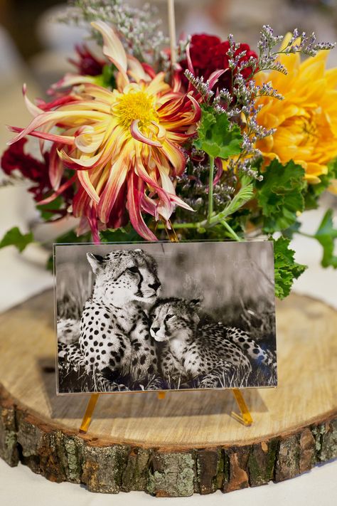 Animal Wedding Centerpieces, Animal Wedding Theme, Zoo Centerpieces, Zoo Theme Wedding, Zoo Wedding Theme, Zoo Wedding Centerpieces, Zoo Wedding Ideas, Zoo Wedding Photos, Jungle Disco