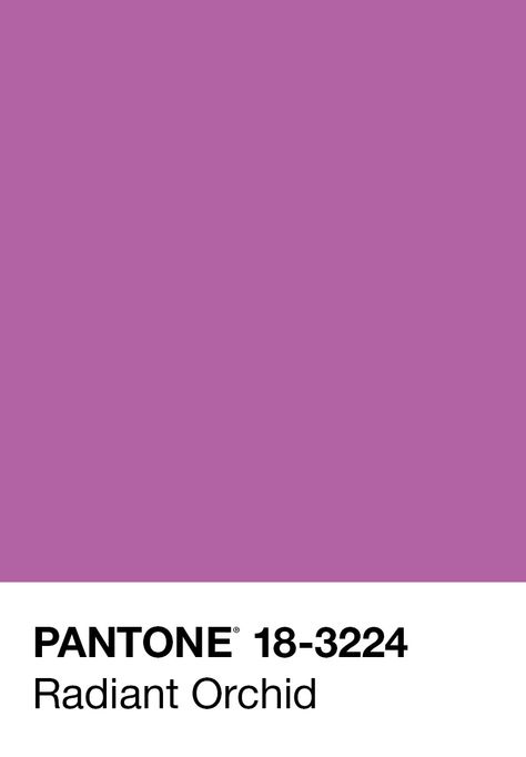 "Radiant Orchid blooms with confidence and magical warmth that intrigues the eye and sparks the imagination. It is an expressive, creative and embracing purple—one that draws you in with its beguiling charm. A captivating harmony of fuchsia, purple and pink undertones, Radiant Orchid emanates great joy, love and health" —PANTONE   Radiant Orchid: 2014 Pantone Color of the Year Radiant Orchid Aesthetic, Purple Colour Pantone, Radiant Orchid Pantone, Very Peri Pantone 2022, Orchid Color, Lip Gloss Collection, Radiant Orchid, Aesthetic Colors, Florida Home