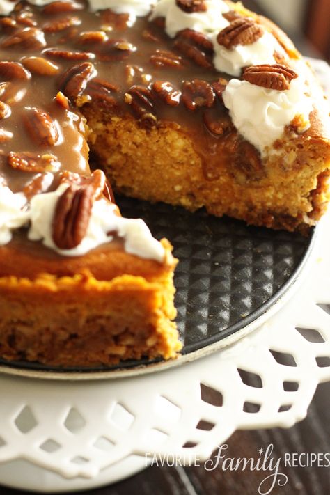 Pumpkin Cheesecake with Praline Pecan Topping Recipe ~ There are no words to describe how decadent, how delicious this pumpkin cheesecake is. This recipe takes 3 of my favorite holiday desserts and combines them into one… pumpkin pie, cheesecake, and pecan pie. Dessert Crepes, Favorite Holiday Desserts, Pecan Topping, Coconut Dessert, Pecan Pralines, A Piece Of Cake, Köstliche Desserts, Piece Of Cake, Pumpkin Dessert