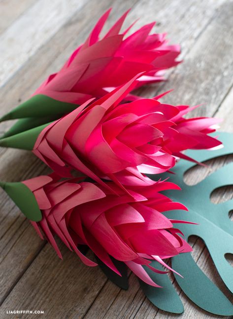 paper ginger flowers Jungle Decorations, Jungle Flowers, Ginger Flower, Diy Flores, Easy Paper Flowers, Paper Plants, Paper Flowers Wedding, Paper Flower Crafts, Tropical Home Decor