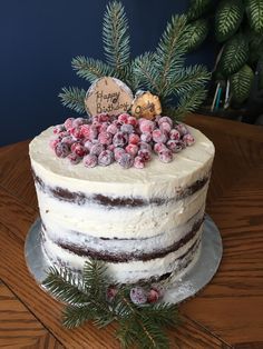 Winter Birthday Cake Ideas For Women, December Birthday Cake For Women, Birthday Cake December, December Birthday Party Ideas For Women, Winter Birthday Ideas For Women, Cake Winter Birthday, December Birthday Cake, Cranberry Buttercream, December Birthday Parties