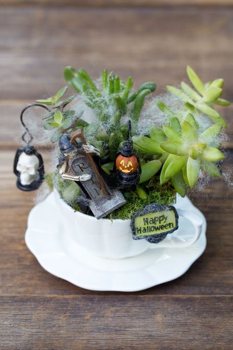 Just in time for Halloween, learn how to make a Haunted Halloween Teacup Garden with succulents, a teacup and saucer, and Halloween miniatures. It's the perfect Halloween craft for kids! #halloweencrafts #halloween #teacupgarden #fairygardens Teacup Fairy Garden, Halloween Fairy Garden, Home Decor Sites, Fairy Garden Ideas, Teacup Gardens, Teacup Crafts, Halloween Fairy, Haunted Halloween, Halloween Miniatures