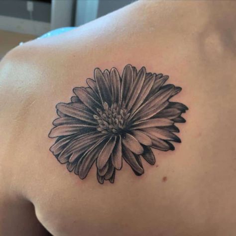 Top 53+ Best Aster Flower Tattoo Ideas - [2021 Inspiration Guide] Aster Tattoos For Women, Aster Tatoos, Homegirl Tattoo, Asters Flower Tattoo, Aster And Butterfly Tattoo, Realistic Aster Flower Tattoo, Aster Flower Shoulder Tattoo, Aster Flower Back Tattoo, Aster Flower Tattoo Design