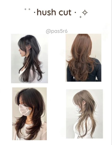 Haircut Reference Medium, Hush Cut And Hime Cut, Asian Layered Hair, Pretty Haircut, Medium Hairs, Hush Cut, Hair Styles Ideas, Wolfcut Long, Haircut Inspo