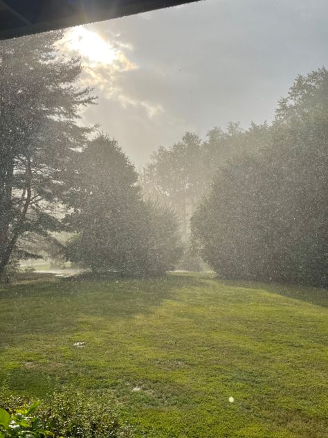 Rain On A Sunny Day Aesthetic, Rainy Meadow, Rainy Countryside Aesthetic, Rainy Day Green Aesthetic, Rainy Day Forest Aesthetic, Trees Scenery, Rainy Photos, Sunset Photography Nature, Green Aura