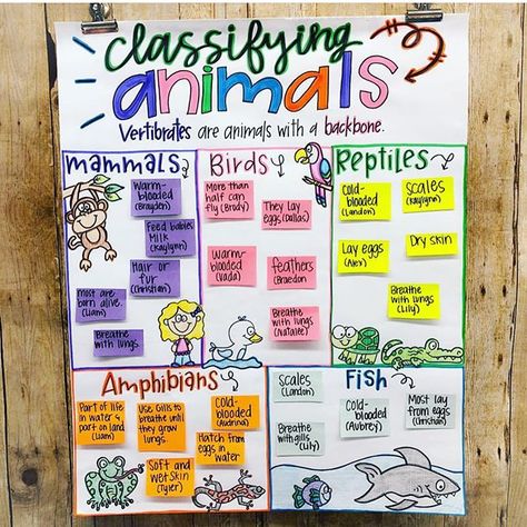 Classification Of Vertebrates, Types Of Vertebrates, Endangered Animals Activities, Animal Classification Activity, Classifying Animals, Zoo Trip, Science Anchor Charts, Animal Lessons, Animal Classification