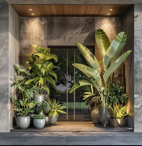 Wabi Sabi House, Tropical Garden Design, Contemporary Living Room Design, Outdoor Patio Space, Dry Garden, Entry Way Design, Plant Decor Indoor, Office Plants, Backyard Living