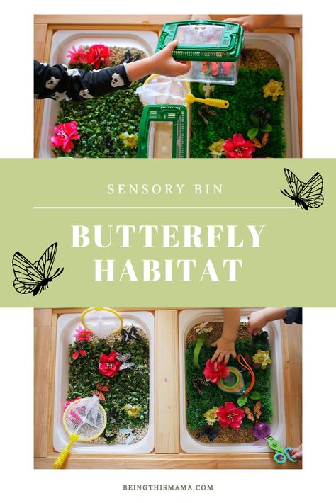 A fun, easy butterfly habitat sensory bin for your littles who are curious about butterflies! This was a fun late-summer activity when there were a lot of butterflies around to see the bugs up close without risk of injuring a real one. Butterfly Sensory Table, Butterfly Sensory Play, Butterfly Sensory Bin, Heavy Work Sensory, Sensory Bin For Toddlers, Habitat Activities, Playgroup Activities, Daycare Meals, Daycare Lesson Plans