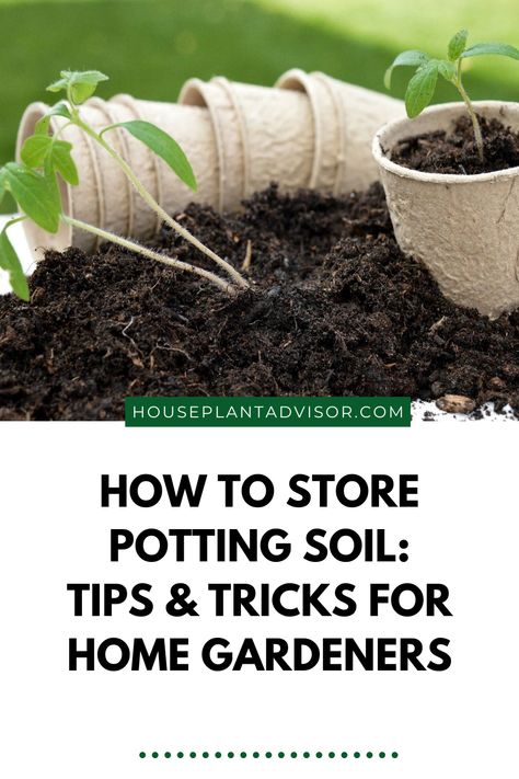 It's important to know how to store potting soil properly in order to keep it fresh and ready to use. While there is nothing better than having extra dirt on hand (especially if you tend to acquire plants frequently), you may still be wondering how to keep potting soil fresh for years. Let's dig in on how to do so! Potting Soil Storage Container, Soil Storage, Rubbermaid Storage, Gardening Vegetables, Container Gardening Vegetables, How To Store, Love Garden, Unique Gardens, Potting Soil