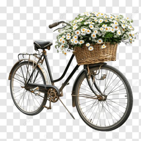 wheelie wonderful a bicycle adorned with floral delights bicycle flowers basket png Flower Bicycle, Bicycle Flowers, Bicycle With Flowers, Basket Flowers, Flowers Basket, Transparent Image, Digital Planning, Flower Basket, Png Transparent