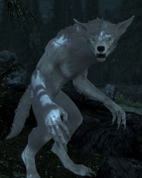 Skyrim werewolf Skyrim Werewolf, Skyrim Art, Red Vs Blue, Werewolf Art, Mass Effect, Elder Scrolls, Video Game Art, Art References, Skyrim