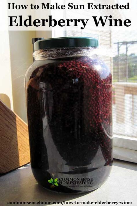 Elderberry Wine, Elderberry Bush, Elderberry Recipes, Wine Yeast, Homemade Wine, Fruit Wine, Old Fashioned Recipes, Fermented Foods, Fermenting