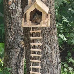 Wooden Squirrel Feeder Personalized Squirrel House Squirrel - Etsy Australia House Squirrel, Wooden Squirrel, Squirrel Feeder Diy, Squirrel House, Squirrel Home, Squirrel Feeders, Indoor Dog House, Squirrel Feeder, Squirrel Funny