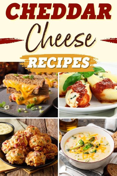 If you love cheese as much as I do, you'll go gaga for these cheddar cheese recipes. It's tasty in sandwiches, on pizza, and even in savory baked goods. Recipes Using Shredded Cheddar Cheese, Cheddar Recipes Dinners, White Cheddar Cheese Recipes, Mild Cheddar Recipes, Cheddar Cheese Recipes Dinners, Recipes Using Powdered Cheddar Cheese, Cheese Dreams Recipe, Canned Cheddar Cheese Soup Recipes, Cheddar Cheese Recipes Easy