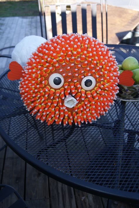 A puffer fish pumpkin that i made :) Pumpkin Derby Ideas, Puffer Fish Pumpkin, Fish Pumpkin, Unique Pumpkin Decorating, Autumnal Inspiration, Halloween Cubicle, Pumpkin Creations, Fest Ideas, Spooky Ideas