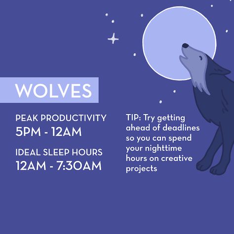 If you typically characterize yourself as a night owl, you may actually be a Wolf, along with 15 percent of people. This chronotype can be challenging if you work a job that requires you to be up early, but this tip from Murray can help: “It may feel counterintuitive, but wolves should exercise in the morning after breakfast to help stop their bodies from producing melatonin (the sleepy hormone) and produce cortisol instead (the alert hormone).” Sleep Chronotype, Hum Nutrition, Evening Workout, Intj Personality, Sleep Consultant, Productive Morning, Health Routine, Upcoming Books, Circadian Rhythm