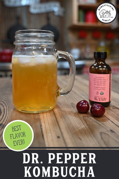 Dr Pepper Kombucha Recipe, Cherry Kombucha Recipe, Diy Dr Pepper, Kombucha Second Ferment Recipes, Blueberry Kombucha Recipe, Kombucha Flavor Ideas, Kombucha Drink Recipes, Second Fermentation Kombucha, Kombucha Second Fermentation