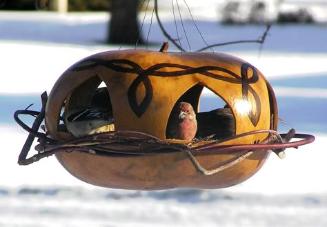 Dolls Victorian, Barbie Products, Gourds Art, Dolls Miniature, Dollhouse Modern, Gorgeous Gourds, Gourds Birdhouse, Decorative Gourds, Hand Painted Gourds