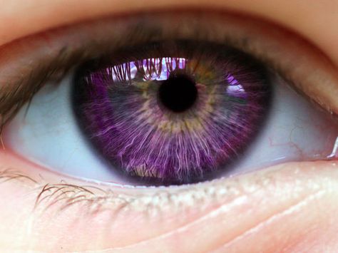 I got: Purple Eyes! What Should Your Fantasy Eye Color Really Be? Fantasy Eye Color, Lilac Eye, Eye Center, Crazy Facts, Boys Stripes, Eye Photography, Random Facts, Aesthetic Eyes, Character Inspo