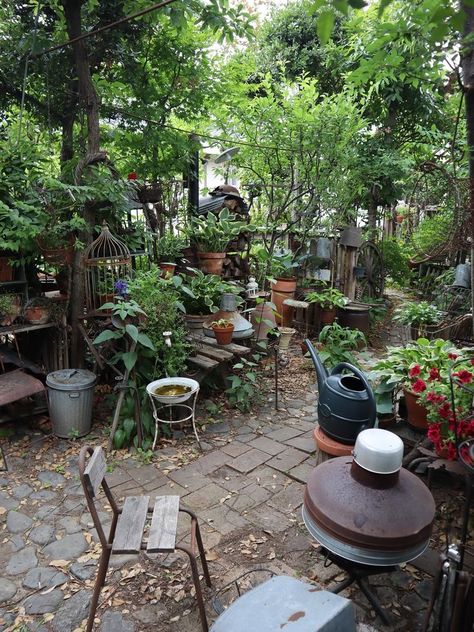 Messy Garden Aesthetic, Messy Garden, House On Stilts, Patio Garden Design, Garden Aesthetic, Vintage Garden Decor, Garden Rooms, Small Cottage, Garden Landscape Design