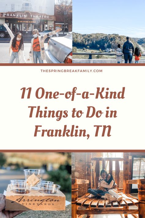 Things To Do In Franklin Tennessee, Things To Do In Franklin Tn, Downtown Franklin Tn, Franklin Tennessee Christmas, Franklin Tennessee Things To Do, Franklin Tn Things To Do, Nashville 2023, Travel Tennessee, Columbia Tennessee