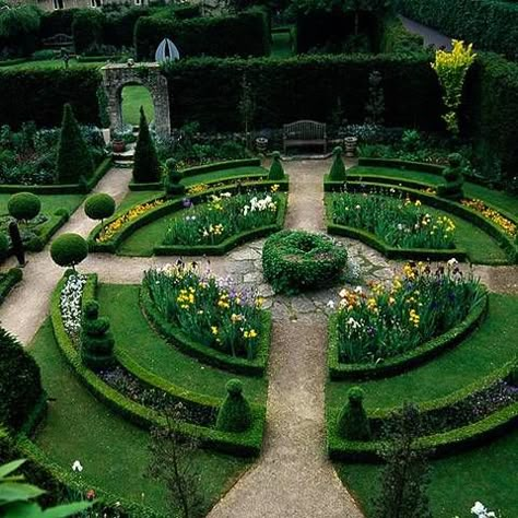 round garden photo Circular Garden, Front Yard Flowers, Formal Garden Design, Round Garden, Garden Design Layout, Formal Garden, Garden Shrubs, Formal Gardens, Small Garden Design