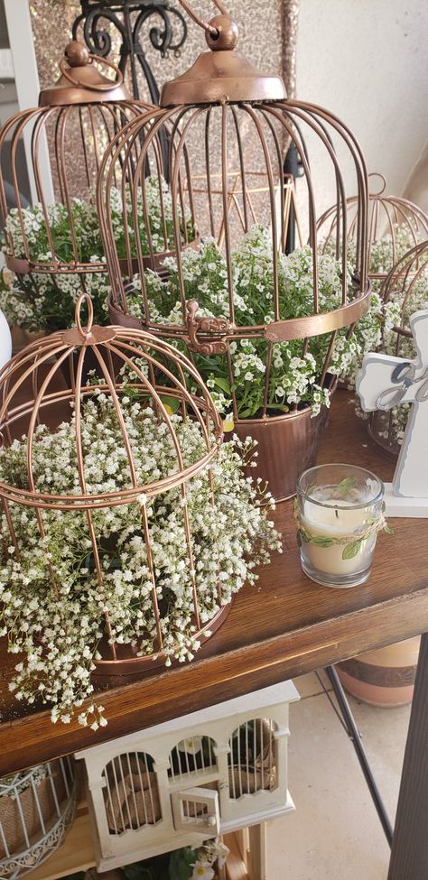 Baby's-breath flowers in bird cages decor for special event. Cake Stand Centerpiece, Bird Cage Centerpiece, Short Hair Bride, Bird Cage Decor, Baby S Breath, 65th Birthday, Country Decor Rustic, Bird Cages, Holiday Specials