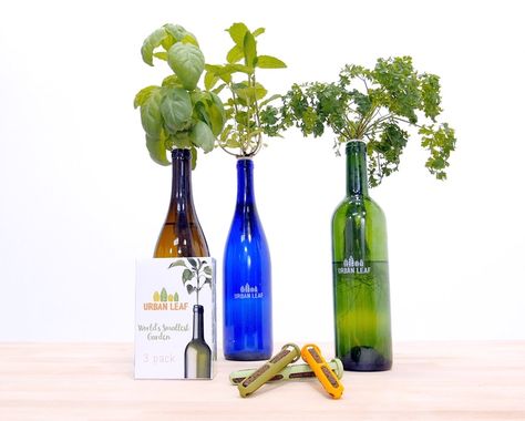 Turn a bottle into a self watering herb garden in seconds. Perfect for growing fresh food in small spaces. Plants In Wine Bottles, Wine Bottle Garden, Hydroponic Gardening System, Gardens Of Babylon, Plants In Bottles, Empty Wine Bottles, Hydroponic Growing, Plants To Grow, Hydroponic Plants