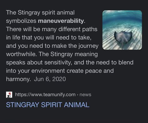 Stingray Meaning, Manta Ray Meaning, Stingray Spirit Animal Meaning, Stingray Tattoo Meaning, Sting Ray Tattoo Meaning, Tattoo Ideas Stingray, Stingray Quotes, Stingray Spiritual Meaning, Manta Ray Spiritual Meaning