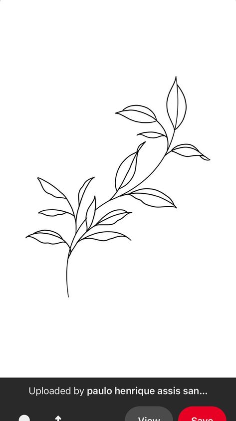 Flower Line Drawings Simple, Vine Painting Simple, Vine Drawing Simple, Vines Drawing Simple, Outline Pictures, Branch Drawing, Dorm Door, Vine Drawing, Vine Tattoo