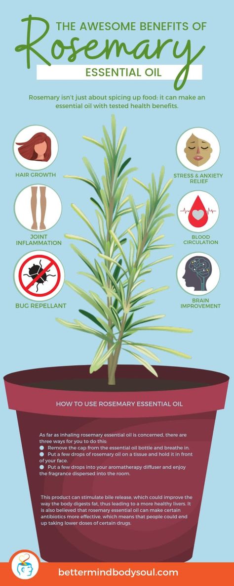 Benefits Of Rosemary Essential Oil, Rosemary Essential Oil For Hair, Benefits Of Rosemary, Essential Oil For Hair, Rosemary Oil For Hair Growth, Rosemary Oil For Hair, Rosemary Essential Oil, Oil For Hair Growth, Oil For Hair