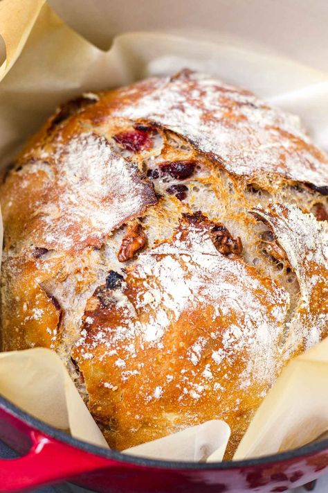 Cranberry Walnut Bread (No Knead) - Cooking For My Soul Cranberry Nut Bread, Walnut Bread Recipe, Cranberry Walnut Bread, Chewy Bread, Dutch Oven Bread, Holiday Bread, Christmas Bread, Walnut Bread, Yeast Breads