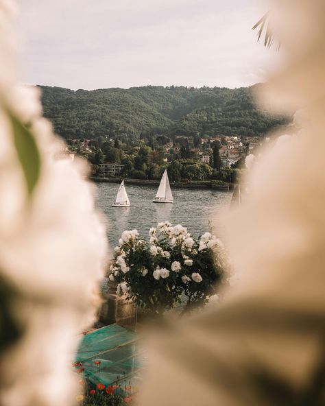 view of boats on a lake beyond flower bushes. Cape Cod Elopement, Destination Wedding Guest Dress, Best Places To Elope, Destination Wedding Ideas, Places To Elope, East Coast Wedding, Destination Wedding Locations, Beach Elopement, Wedding 2024