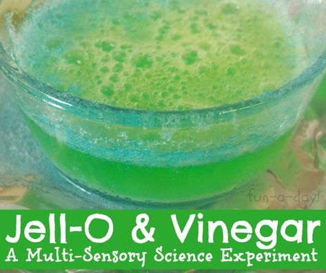 Some messy science fun for screen-free week -- A Multi-Sensory Experiment with Jell-O and Vinegar Family And Friends Science Activity, Smell Science Experiment, Sense Of Smell Activities For Toddlers, Messy Science, Grinch Activities, Toddler Science, Sensory Science, Fun Experiments, Pre-k Science