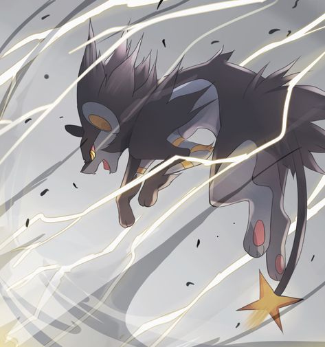 Luxray Pokemon, Pokémon Diamond, Pokemon Alola, Pokemon Oc, Pokemon Memes, Cute Pokemon Wallpaper, Pokemon Teams, Pokemon Drawings, All Pokemon