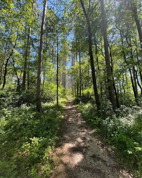 Hiking Forest Aesthetic, Earth People Aesthetic, Green Outdoor Aesthetic, Nature Pictures Forest, Pretty Forest Aesthetic, Forest Asethic, Hiking Trail Aesthetic, Forest Background Aesthetic, Trails Aesthetic