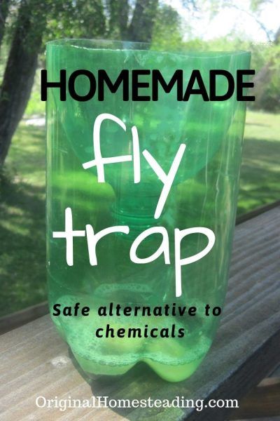 Discover how easy it is to make a safe homemade fly trap to catch all those pesky insects. This diy simple fly trap is safe, easy to make and can be used in your home, garden, patio, porch or barnyard. Plus, it is a Perfect activity for kids! Flies Trap Diy, Homemade Fly Traps, Fruit Fly Trap Diy, Diy Fly Trap, Fly Bait, Get Rid Of Flies, Grape Uses, Modern Homestead, Fruit Fly Trap