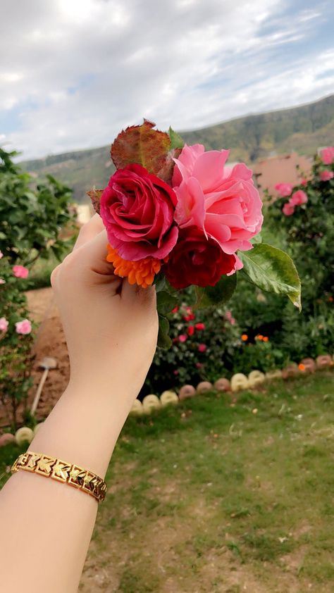 Flower Dpz For Whatsapp, Hand Dp, Flowers Dp, Engagement Dress For Bride, Beautiful Eyes Images, Girly Frame, Love Pink Wallpaper, Full Mehndi Designs, Rose Flower Wallpaper