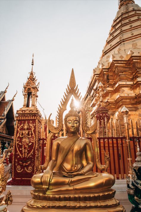 The complete Travel Guide to Chiang Mai, Thailand. Discover the best temples, sights and highlights. Plus: Our personal travel tips. Where to eat and where to stay in Chiang Mai. Temples In Thailand, Chiang Mai Temples, Chiang Mai Aesthetic, Chiang Mai Thailand Aesthetic, Chang Mai Thailand, Thailand Temples, Thailand Culture, Thailand Chiang Mai, Thailand Buddha