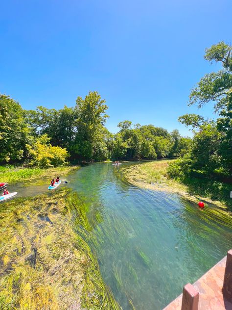 river, blue water, crystal water, river San Marcos River, San Marcos Texas, College Vision Board, Weekend Activities, Insta Posts, Weekend Getaways, Travel Tips, Things To Do, Travel