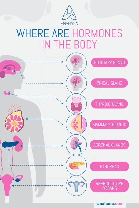 Learn About the Hormones in Your Body Endocrinology Aesthetic, Female Hormones Chart, Hormone Hierarchy, Hormones And Their Functions, List Of Hormones And Their Functions, Growth Hormone Injections, Hormone Pyramid, Endocrine System Hormones Notes, Women Hormone Cycle